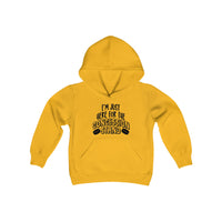 I'm Just Here For The Concession Stand Youth Heavy Blend Hooded Sweatshirt